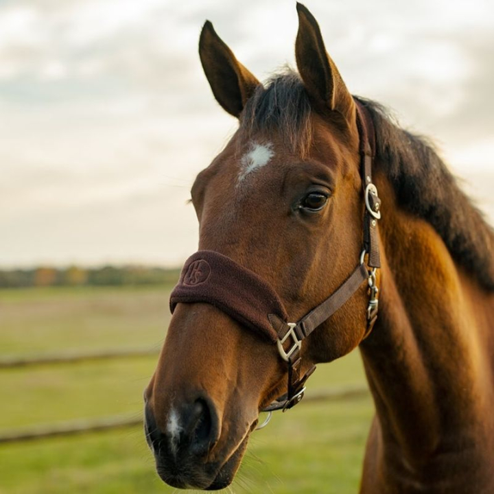 Grimma HS Emma Fleece Brun i gruppen Hästutrustning / Grimmor / Tyg- & Nylongrimmor hos Horseonline AB (603852BR_r)