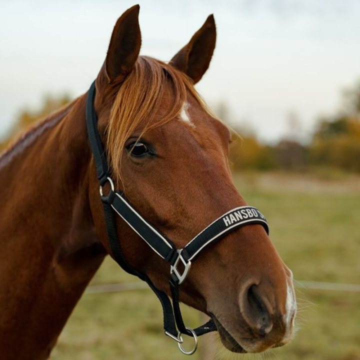 Reflexgrimma HS Svart i gruppen Ridutrustning / Reflexer hos Horseonline AB (603935BA_r)