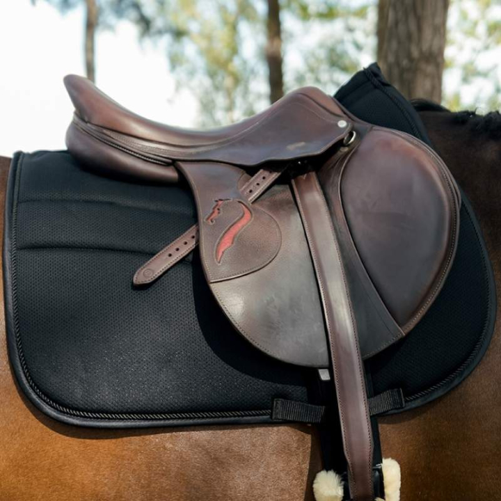 Schabrak HS Cool Mesh Svart i gruppen Hästutrustning / Schabrak / Allround-, hoppschabrak hos Horseonline AB (604023BA_r)