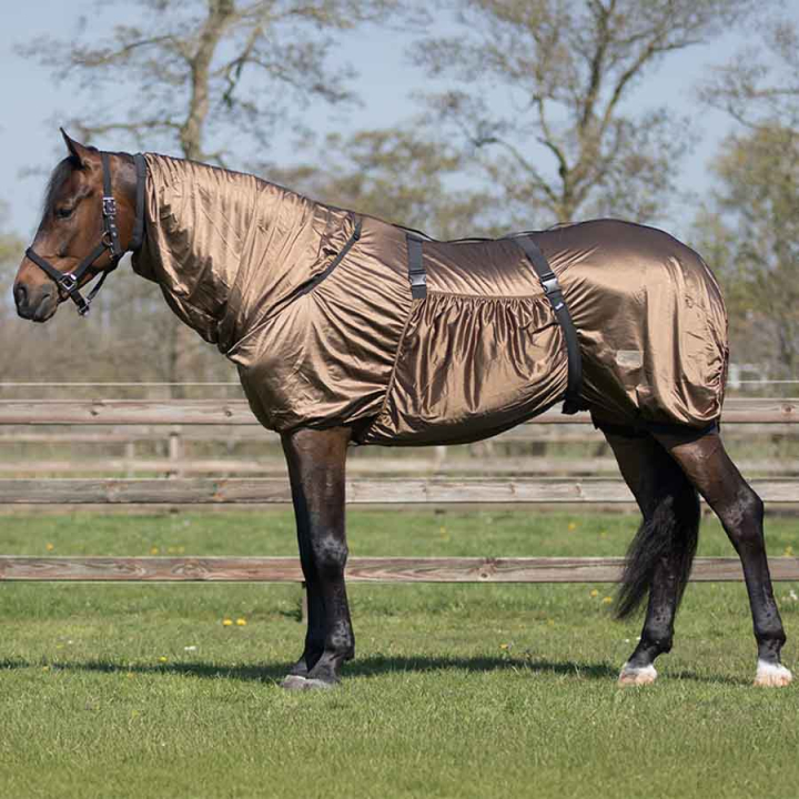 Eksemtäcke UV-Resistant Brun i gruppen Flugskydd / Täcken hos Horseonline AB (6060BR105BR_r)