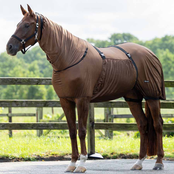 Eksemtäcke UV-Resistant Brun i gruppen Flugskydd / Flugtäcken hos Horseonline AB (6060BR105BR_r)