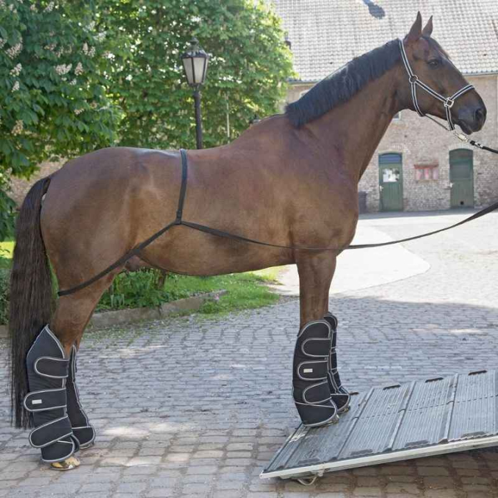 Lasthjälp Transport Aid Svart i gruppen Hästutrustning / Transport hos Horseonline AB (6178200BA)