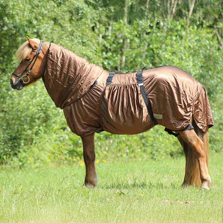 Eksemtäcke Icelandic UV-Protection Brun i gruppen Flugskydd / Täcken hos Horseonline AB (6212BR165BR_r)