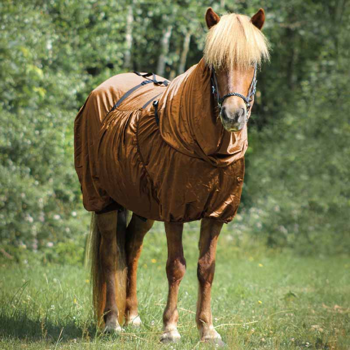 Eksemtäcke Icelandic UV-Protection Brons i gruppen Flugskydd / Täcken hos Horseonline AB (6212BRZ165BZ_r)