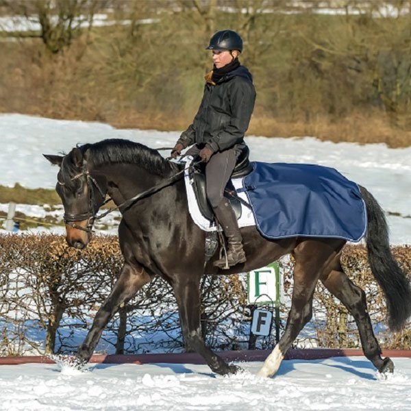 Quarter Sheet Ländtäcke Marinblå i gruppen Hästtäcken / Ländtäcken & Skrittäcken hos Horseonline AB (6612562_Ma_r)