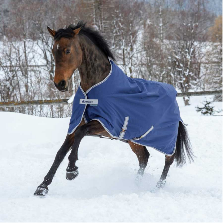 Vintertäcke Pony Freedom Turnout 150g Marinblå i gruppen Hästtäcken / Utetäcken / Vintertäcken hos Horseonline AB (66300P-150-Ma_r)