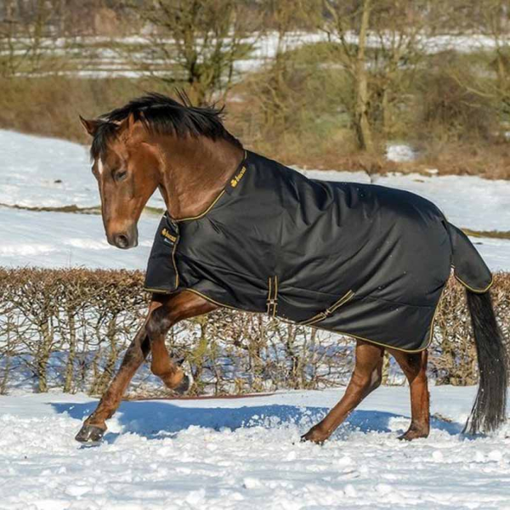Vintertäcke Irish Turnout 250g Svart/Guld i gruppen Hästtäcken / Utetäcken / Vintertäcken hos Horseonline AB (6761522BAGO_r)