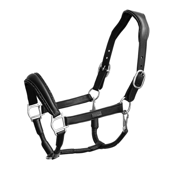 Anatomisk Lädergrimma ES Glimmer Black Edition i gruppen Hästutrustning / Grimmor / Lädergrimmor hos Horseonline AB (734020642359BA_r)