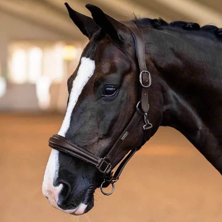 Anatomisk Lädergrimma ES Glimmer All Brown i gruppen Hästutrustning / Grimmor / Lädergrimmor hos Horseonline AB (734020642386BR_r)