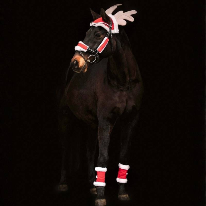 Christmas Set 6 delar Röd/Vit i gruppen Högtider & Maskerad hos Horseonline AB (7464801REWH)
