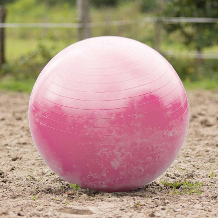 Hästfotboll Rosa i gruppen Stall & Hage / Hästleksaker hos Horseonline AB (8005RZ80100PI)