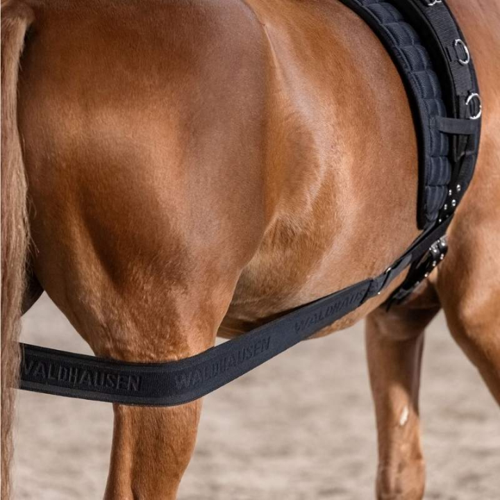 Body Bandage Elastic Svart Cob/Full i gruppen Hästutrustning / Longering & Tömköring hos Horseonline AB (81053012BA-CF)