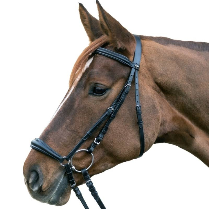 Träns Remontnosgrimma Hannover Svart i gruppen Hästutrustning / Träns & Pannband / Träns hos Horseonline AB (813801POBA_r)