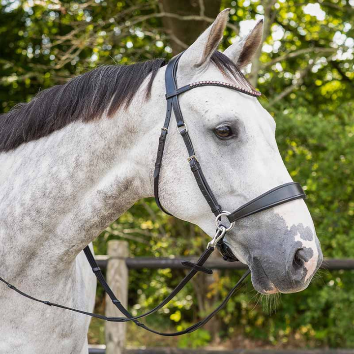 Bettlöst Träns Sunna Svart i gruppen Hästutrustning / Träns & Pannband / Hackamore & Bettlösa Träns hos Horseonline AB (9074ZW3BA_r)
