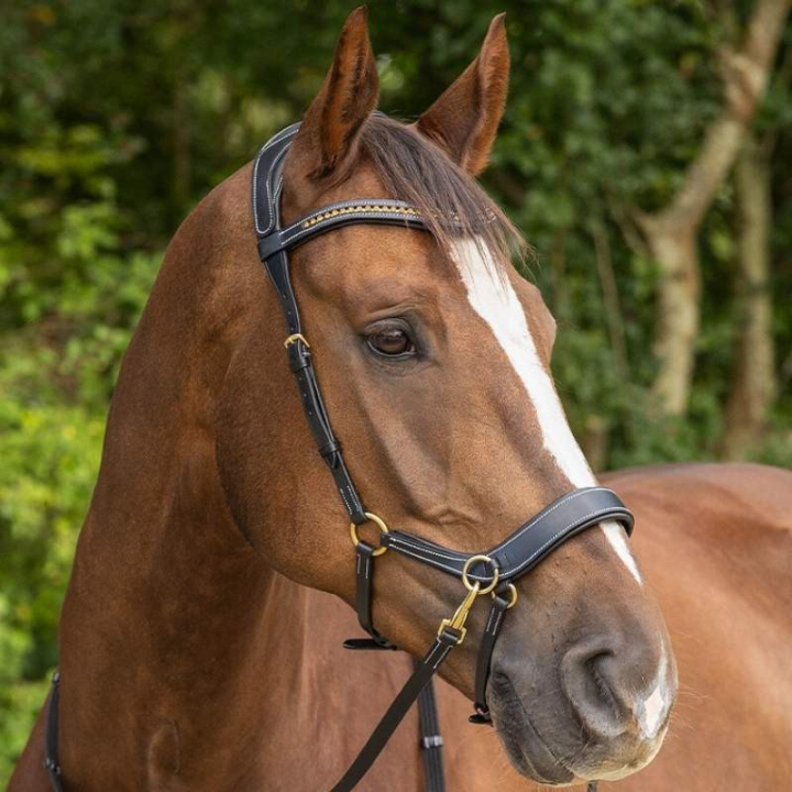 Bettlöst Träns Anatomical Svart i gruppen Hästutrustning / Träns & Pannband / Hackamore & Bettlösa Träns hos Horseonline AB (9089BA)