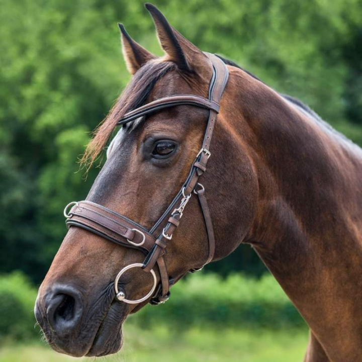 Kapson Leather Anatomic Brun i gruppen Hästutrustning / Longering & Tömköring hos Horseonline AB (9560330PBR_r)