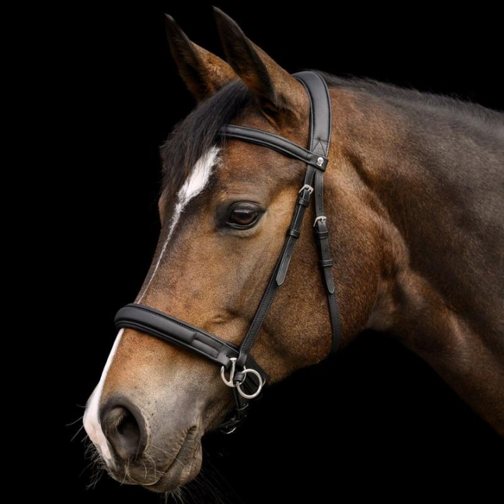 Bettlöst Träns Supersoft X-Line Svart i gruppen Hästutrustning / Träns & Pannband / Hackamore & Bettlösa Träns hos Horseonline AB (9572301PBA_r)