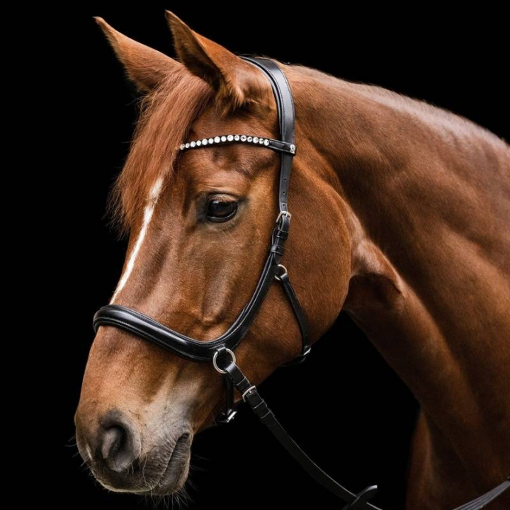 Bettlöst Träns Sensation X-Line Svart i gruppen Hästutrustning / Träns & Pannband / Hackamore & Bettlösa Träns hos Horseonline AB (9579801PBA_r)