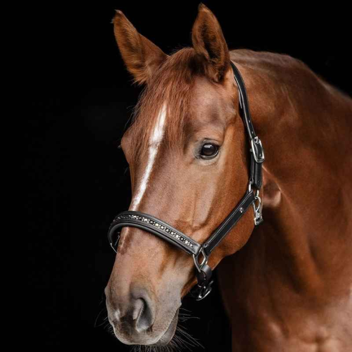 Lädergrimma Crystal X-Line Svart i gruppen Hästutrustning / Grimmor / Lädergrimmor hos Horseonline AB (9580901PBABR_r)