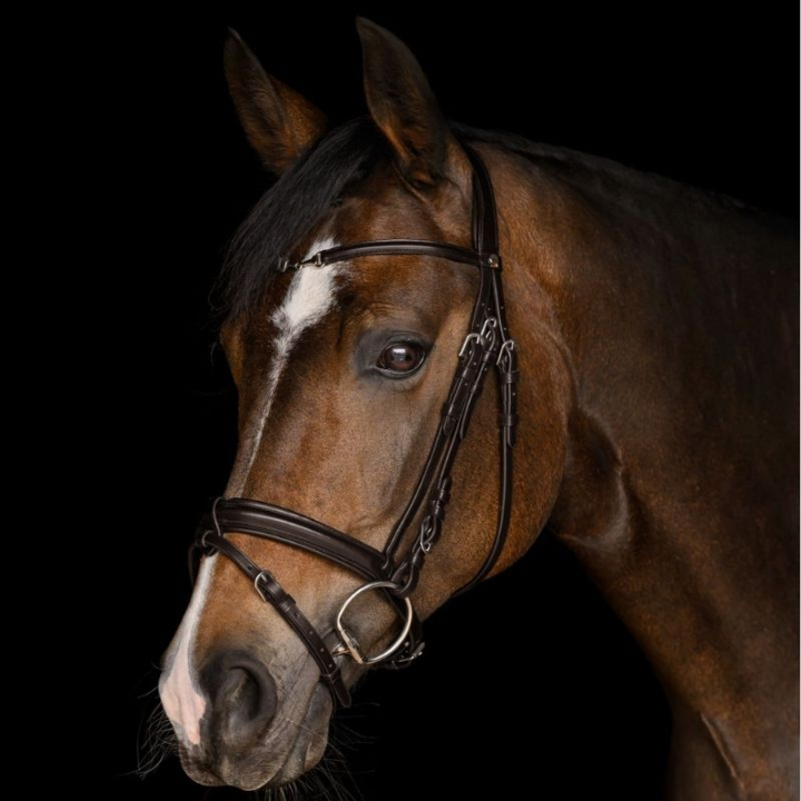 Träns Charmbit X-Line Brun i gruppen Hästutrustning / Träns & Pannband / Träns hos Horseonline AB (9582530VBR_r)