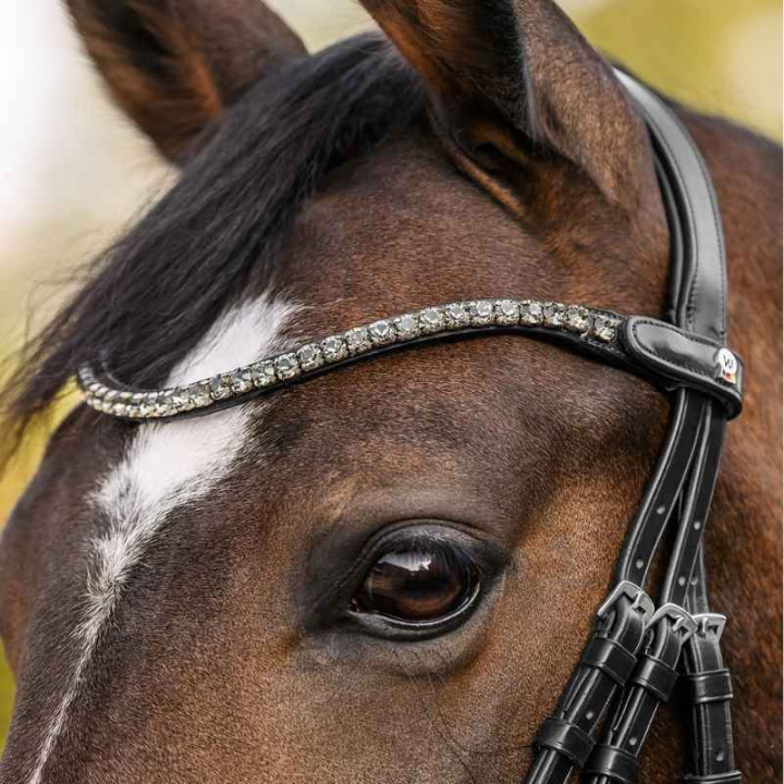 Pannband Shine X-Line Svart/Silver i gruppen Hästutrustning / Träns & Pannband / Pannband hos Horseonline AB (9589011VBASI_r)