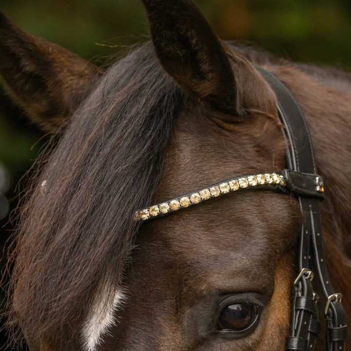 Pannband Shine X-Line Svart/Toffee i gruppen Hästutrustning / Träns & Pannband / Pannband hos Horseonline AB (9589084VBATF_r)