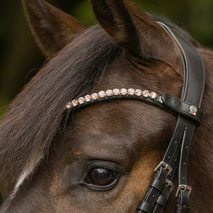 Pannband Shine X-Line Svart/Rosa i gruppen Hästutrustning / Träns & Pannband / Pannband hos Horseonline AB (9589092VBAPI_r)