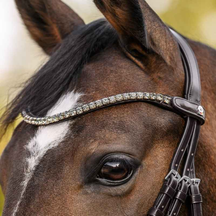 Pannband Shine X-Line Brun/Silver i gruppen Hästutrustning / Träns & Pannband / Pannband hos Horseonline AB (9589111VBRSI_r)