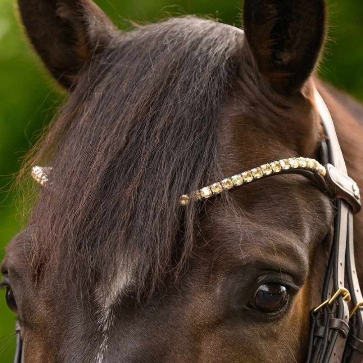 Pannband Shine X-Line Brun/Toffee i gruppen Hästutrustning / Träns & Pannband / Pannband hos Horseonline AB (9589184VBRTF_r)