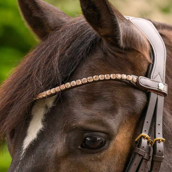 Pannband Shine X-Line Brun/Rosa i gruppen Hästutrustning / Träns & Pannband / Pannband hos Horseonline AB (9589192VBPI_r)