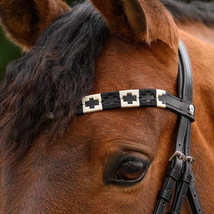 Pannband Polo X-Line Svart/Beige i gruppen Hästutrustning / Träns & Pannband / Pannband hos Horseonline AB (9589301VBLABE_r)