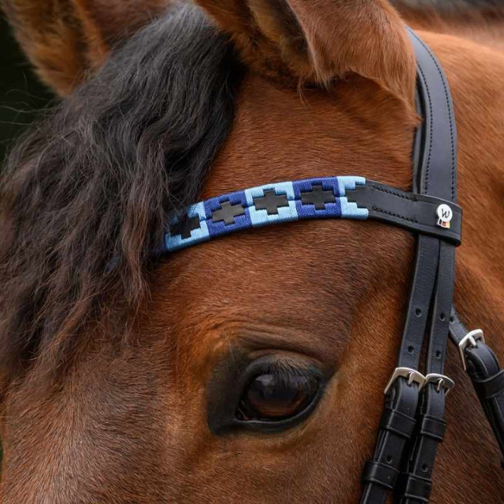Pannband Polo X-Line Svart/Blå i gruppen Hästutrustning / Träns & Pannband / Pannband hos Horseonline AB (9589305VBABL_r)