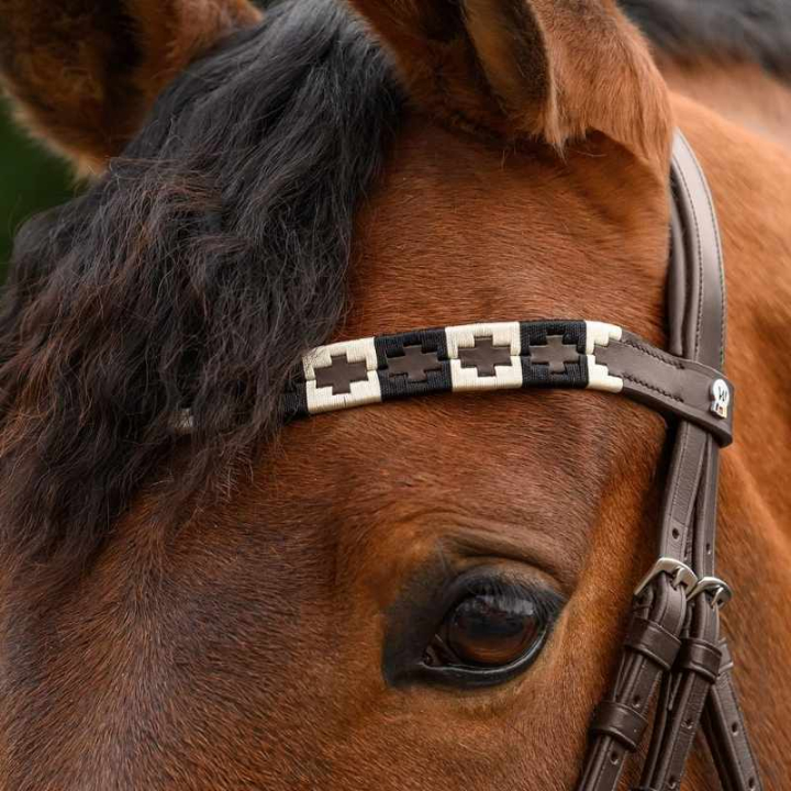 Pannband Polo X-Line Brun/Beige i gruppen Hästutrustning / Träns & Pannband / Pannband hos Horseonline AB (9589401VBRBR_r)