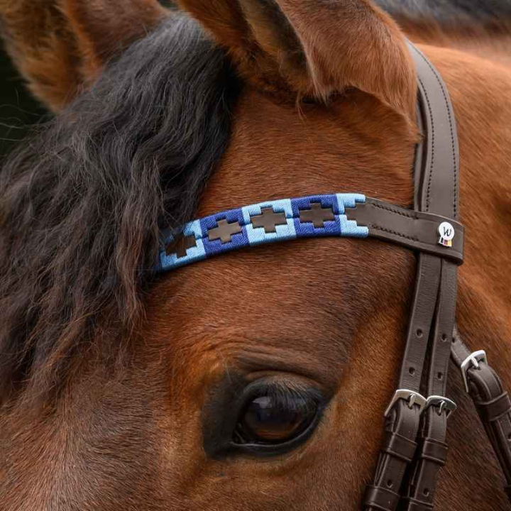 Pannband Polo X-Line Blå/Brun i gruppen Hästutrustning / Träns & Pannband / Pannband hos Horseonline AB (9589405VBRBL_r)
