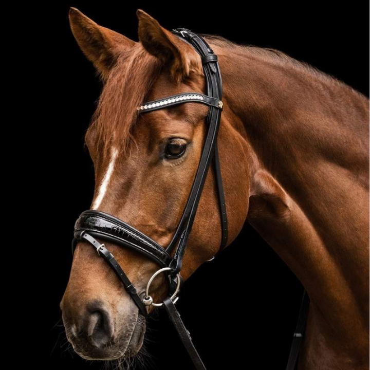 Dressyrträns Magic Croco S-Line Svart i gruppen Hästutrustning / Träns & Pannband / Kandarträns & Dressyrträns hos Horseonline AB (9808501VBA_r)