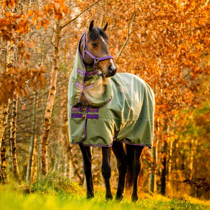 Regntäcke med Hals Amigo Hero Ripstop Plus Lite 0g Grön/Lila/Beige i gruppen Hästtäcken / Utetäcken / Regntäcken hos Horseonline AB (AAPP90GN)