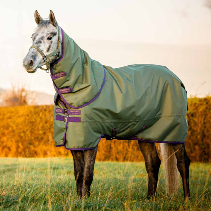 Vintertäcke med Hals Amigo Hero Ripstop Plus 200g Grön/Lila i gruppen Hästtäcken / Utetäcken / Vintertäcken hos Horseonline AB (AAPP93GN)