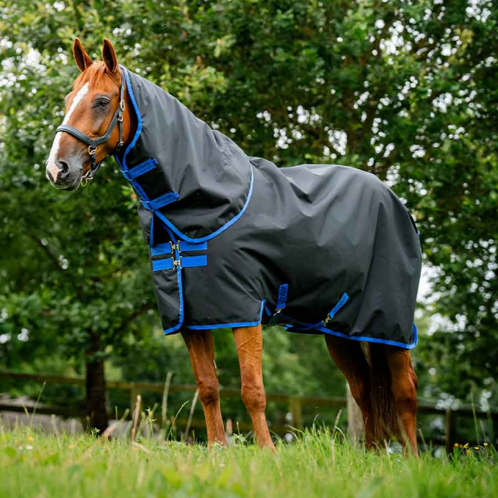 Utetäcke med Hals Amigo Ripstop 900 Plus 100g Svart/Blå i gruppen Hästtäcken / Utetäcken / Övergångstäcken hos Horseonline AB (AARPG2BA)