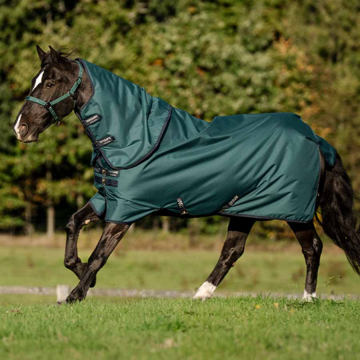 Utetäcke Amigo Ripstop 900D Plus 100g Grön/Marinblå/Silver i gruppen Hästtäcken / Utetäcken / Övergångstäcken hos Horseonline AB (AARPG2GBIGNMASI_r)