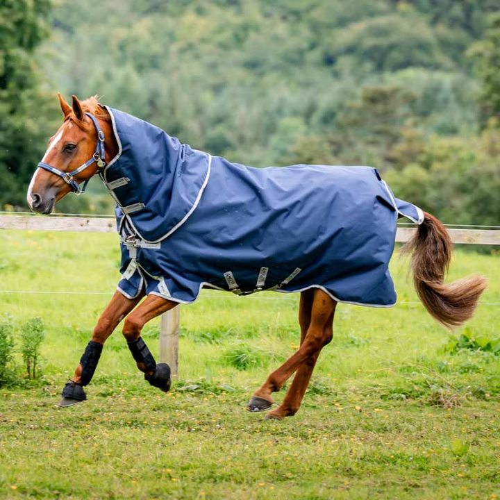 Utetäcke med Hals Amigo Bravo 12 Plus 100g Marinblå/Grå i gruppen Hästtäcken / Utetäcken / Övergångstäcken hos Horseonline AB (AARPLFNA)