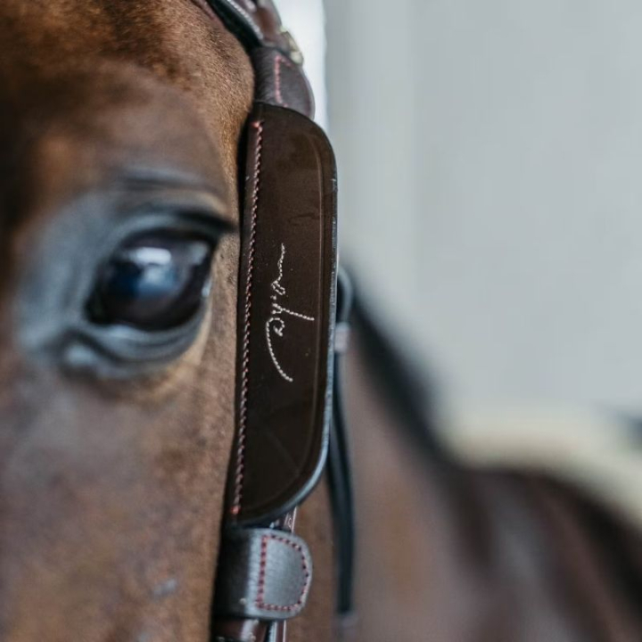 Blinkers Fancy Stitching Brun i gruppen Hästutrustning / Träns & Pannband / Tränstillbehör hos Horseonline AB (AB99QBRBR)