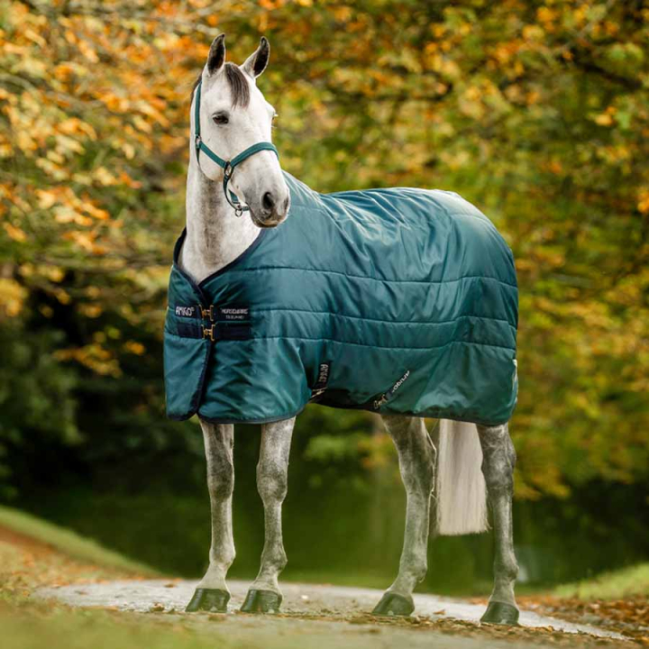 Stalltäcke Amigo Insulator Ripstop 210D 100g Grön/Marinblå/Silver i gruppen Hästtäcken / Stalltäcken hos Horseonline AB (ABRDM1GBIGNMASI_r)