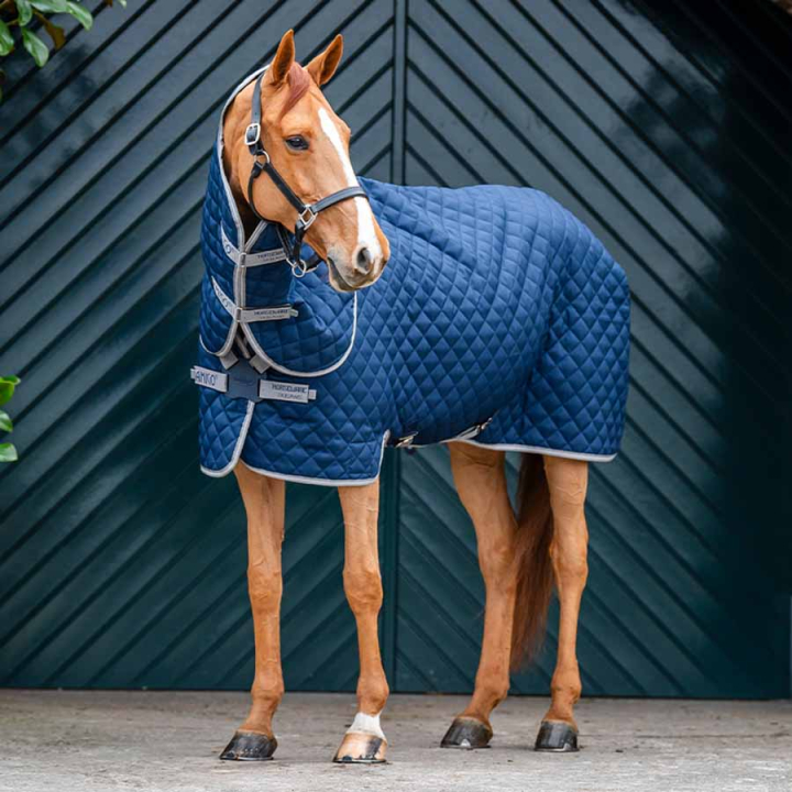 Stalltäcke Amigo Quilted 600D Plus 200g Marinblå/Grå/Silver i gruppen Hästtäcken / Stalltäcken hos Horseonline AB (ABRDT2BJI_r)