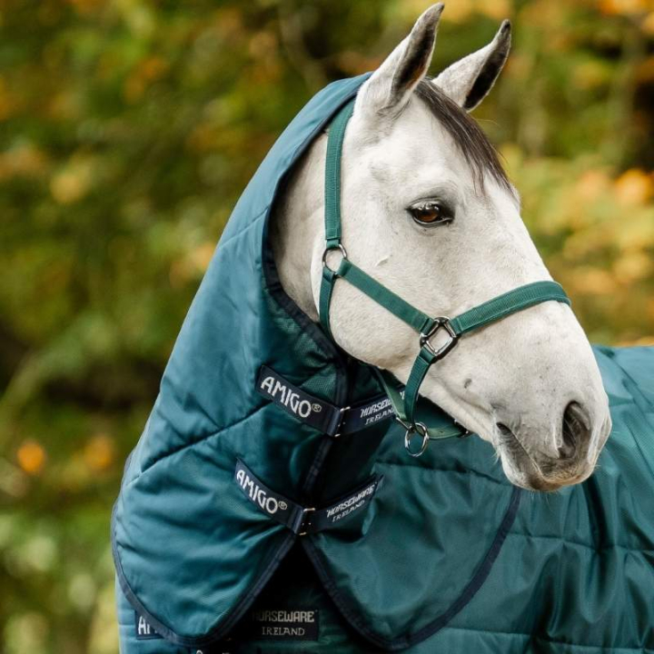 Hals Amigo Ripstop Insulator 210D 200g Grön/Marinblå/Silver i gruppen Hästtäcken / Halsar hos Horseonline AB (ABRHN4GBIGNMASI_r)