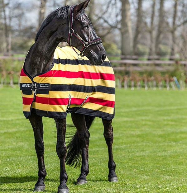 Rambo Deluxe Fleece Witney Guld 100 i gruppen Hästtäcken / Fleecetäcken hos Horseonline AB (ACAF9DWG-100)