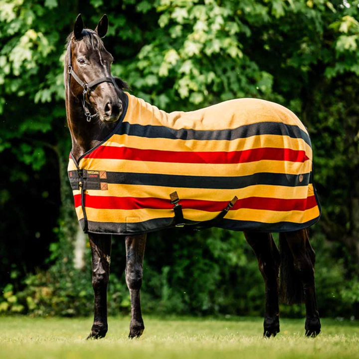 Fleecetäcke Newmarket Cooler Witney Gold i gruppen Hästtäcken / Fleecetäcken hos Horseonline AB (ACHFBNVRKWGO_r)