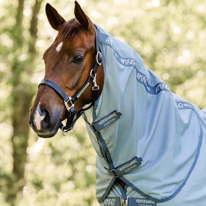 Hals Amigo Bug Rug Ljusblå/Blå/Silver i gruppen Hästtäcken / Halsar hos Horseonline AB (AFRNNNCCLBLBLSI_r)