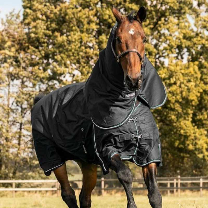 Vintertäcke med Hals Turnout Plus 300g 1200D Svart i gruppen Hästtäcken / Utetäcken / Vintertäcken hos Horseonline AB (AS006101115BA_r)