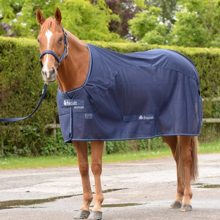 Competition Cooler Marinblå 115 i gruppen Hästtäcken / Coolertäcken hos Horseonline AB (B-639MASI-115)
