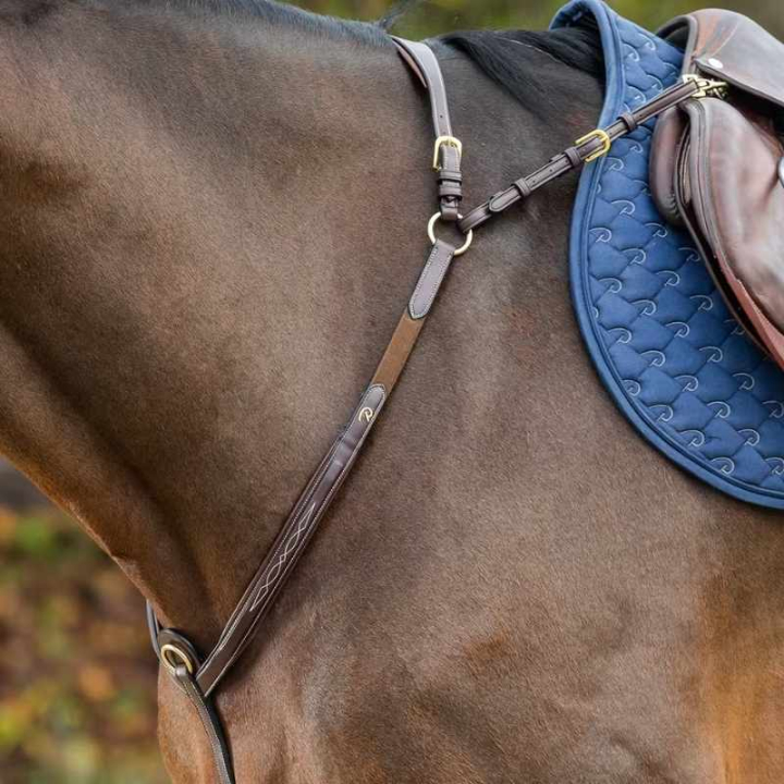 Brösta med Brygga Dyon Collection Brun i gruppen Hästutrustning / Martingal & Förbygel / Förbygel hos Horseonline AB (DY06DBRCBR_r)